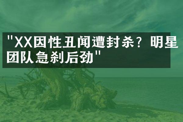 "XX因性丑闻遭封杀？明星团队急刹后劲"