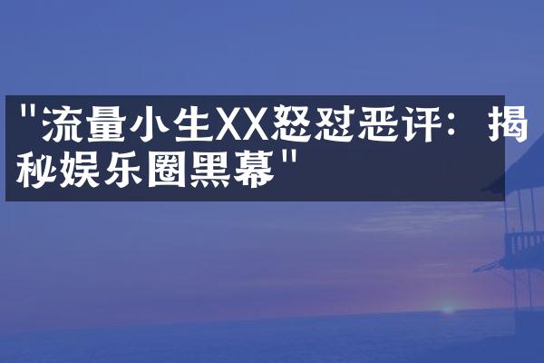 "流量小生XX怒怼恶评：揭秘娱乐圈黑幕"