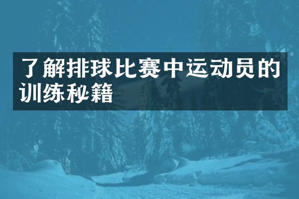 了解排球比赛中运动员的训练秘籍