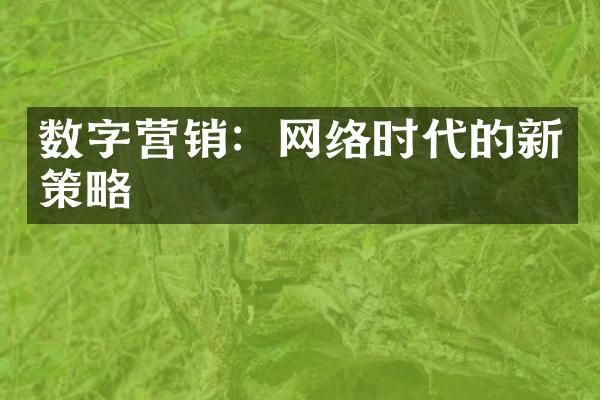 数字营销：网络时代的新策略