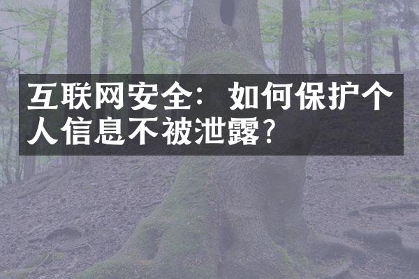 互联网安全：如何保护个人信息不被泄露？