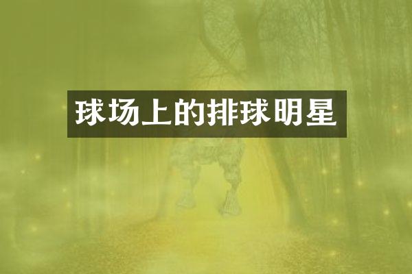 球场上的排球明星