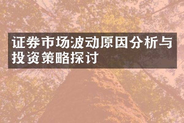 证券市场波动原因分析与投资策略探讨