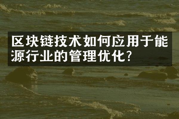 区块链技术如何应用于能源行业的管理优化？