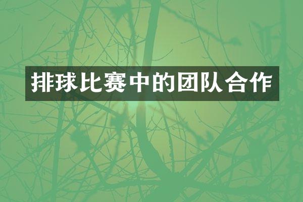 排球比赛中的团队合作