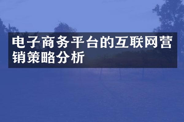 电子商务平台的互联网营销策略分析