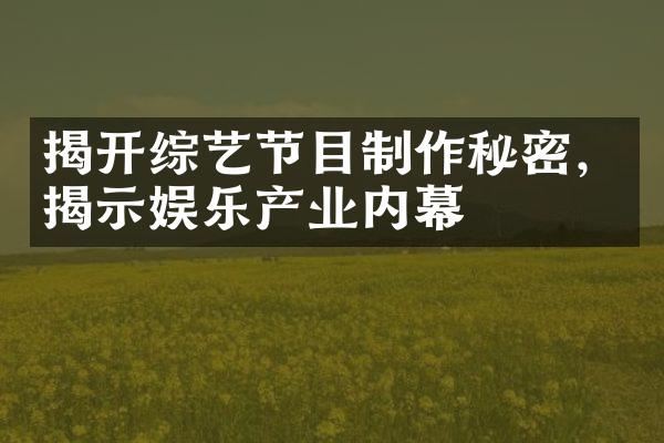 揭开综艺节目制作秘密，揭示娱乐产业内幕