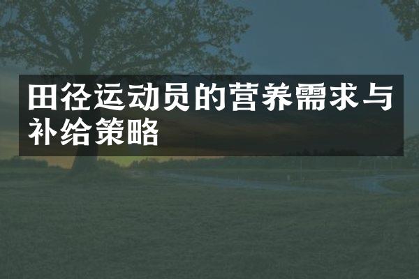 田径运动员的营养需求与补给策略