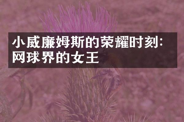 小威廉姆斯的荣耀时刻：网球界的女王