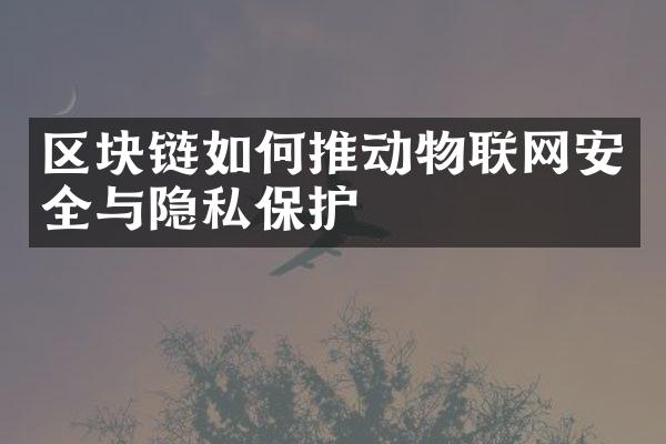 区块链如何推动物联网安全与隐私保护