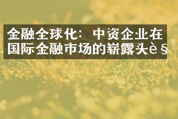 金融全球化：中资企业在国际金融市场的崭露头角