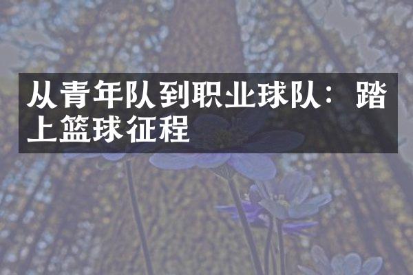 从青年队到职业球队：踏上篮球征程