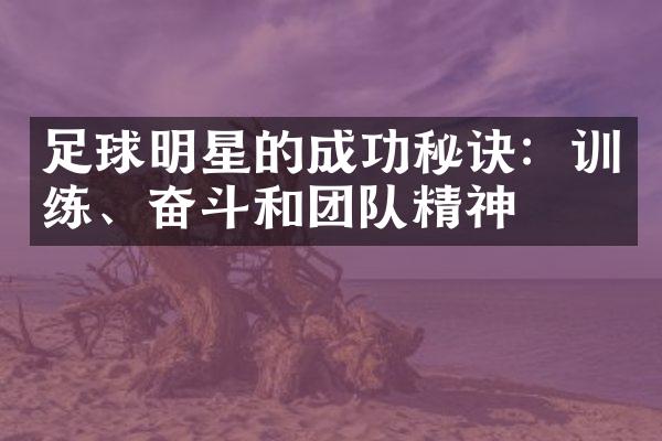 足球明星的成功秘诀：训练、奋斗和团队精神