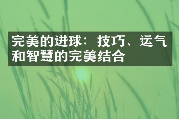 完美的进球：技巧、运气和智慧的完美结合