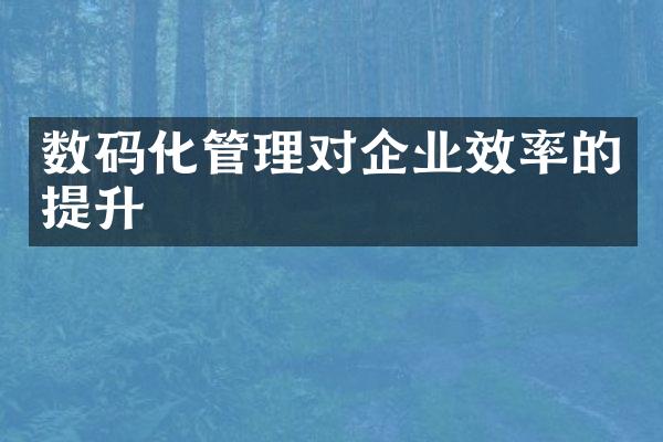 数码化管理对企业效率的提升