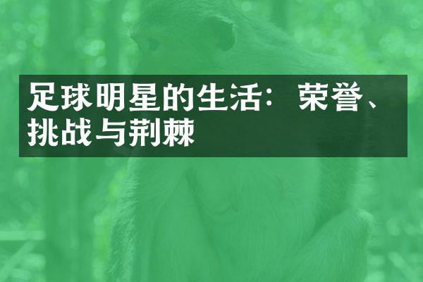 足球明星的生活：荣誉、挑战与荆棘