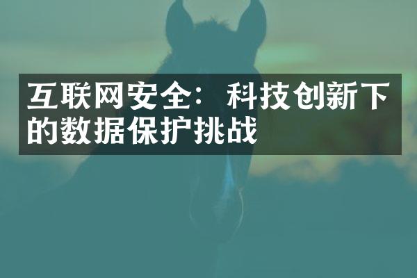 互联网安全：科技创新下的数据保护挑战