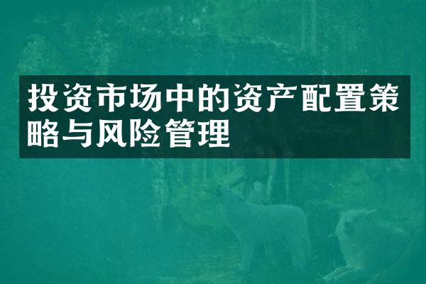 投资市场中的资产配置策略与风险管理