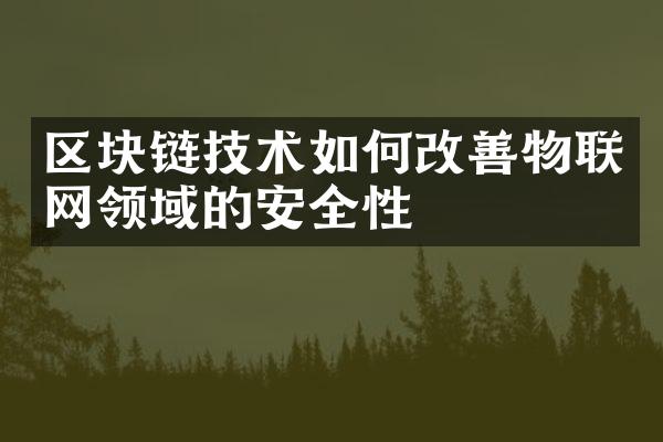 区块链技术如何改善物联网领域的安全性