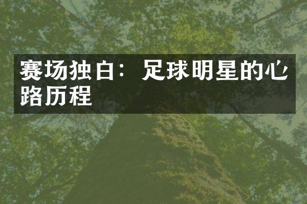 赛场独白：足球明星的心路历程