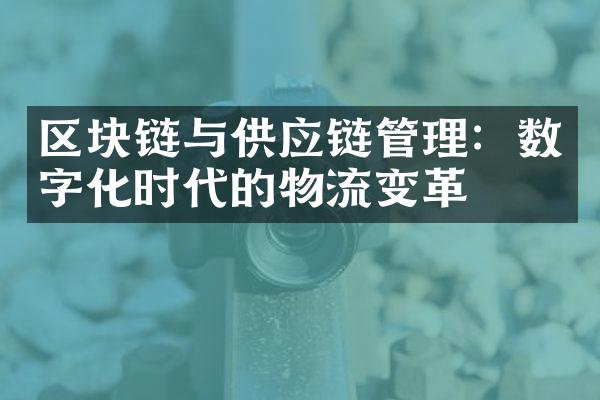 区块链与供应链管理：数字化时代的物流变革