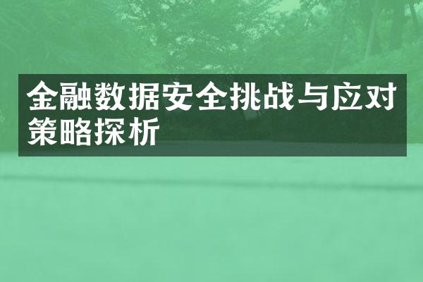 金融数据安全挑战与应对策略探析