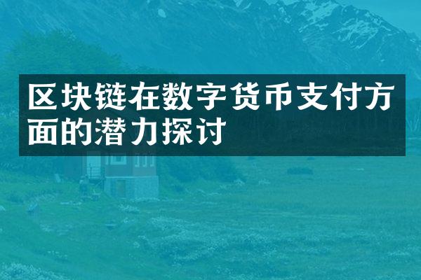 区块链在数字货币支付方面的潜力探讨