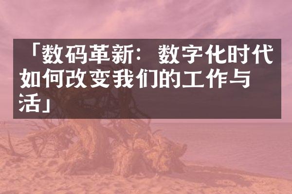 「数码革新：数字化时代如何改变我们的工作与生活」