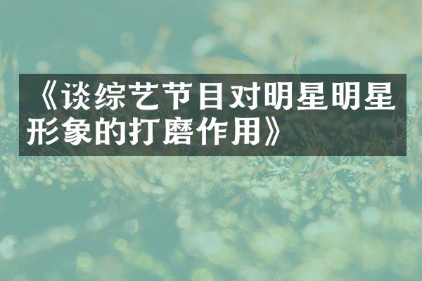 《谈综艺节目对明星明星形象的打磨作用》