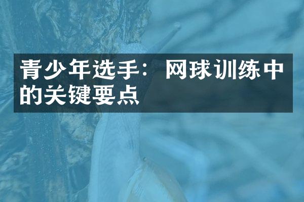 青少年选手：网球训练中的关键要点