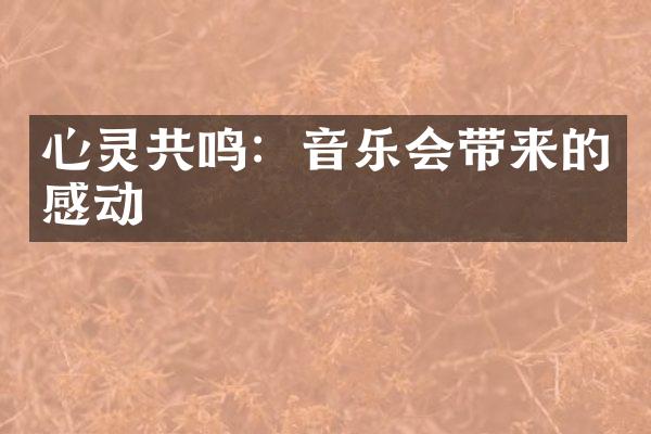 心灵共鸣：音乐会带来的感动