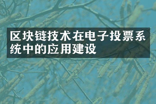 区块链技术在电子投票系统中的应用