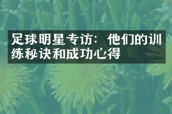 足球明星专访：他们的训练秘诀和成功心得