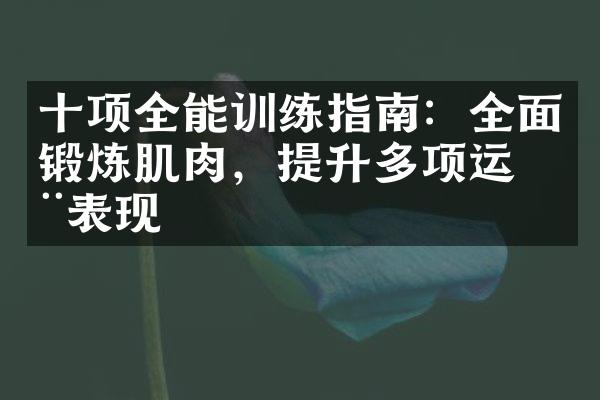 十项全能训练指南：全面锻炼肌肉，提升多项运动表现