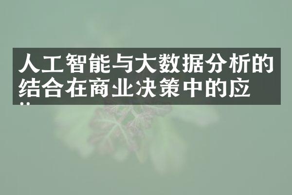 人工智能与大数据分析的结合在商业决策中的应用