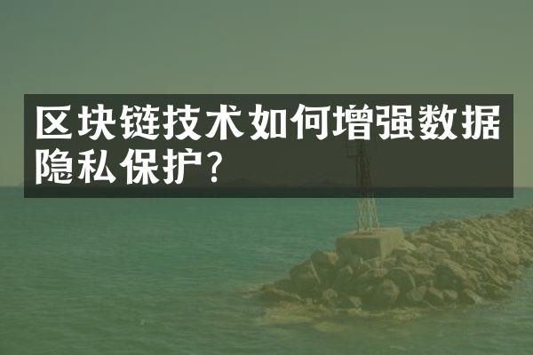 区块链技术如何增强数据隐私保护？