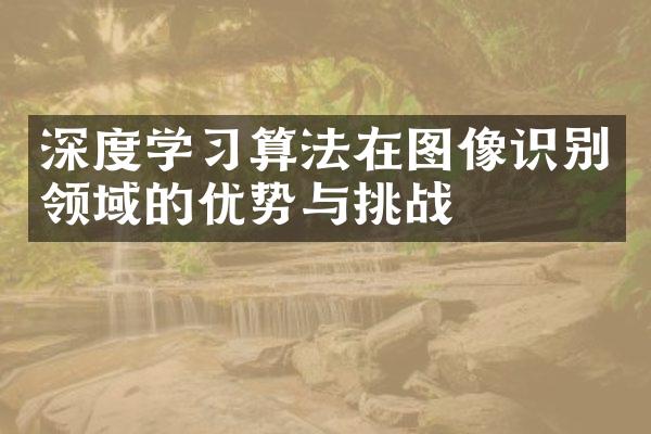 深度学习算法在图像识别领域的优势与挑战