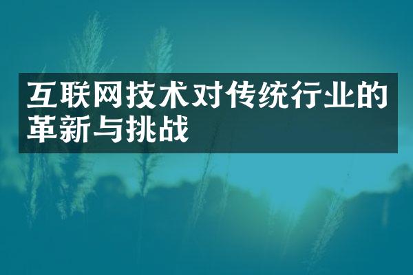 互联网技术对传统行业的革新与挑战