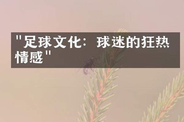 "足球文化：球迷的狂热与情感"