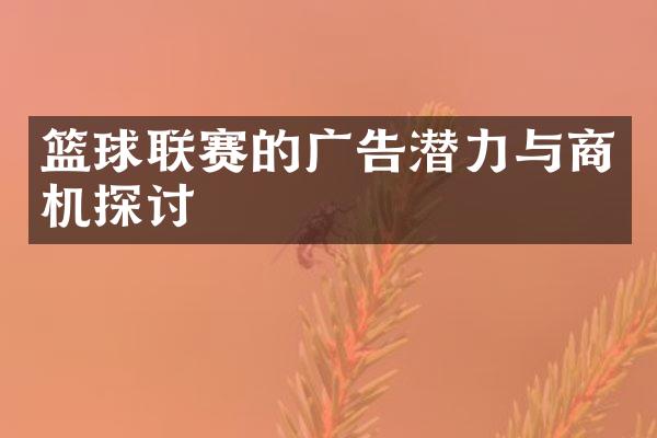 篮球联赛的广告潜力与商机探讨