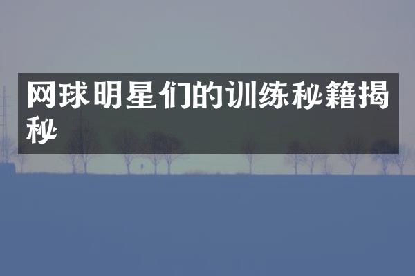 网球明星们的训练秘籍揭秘