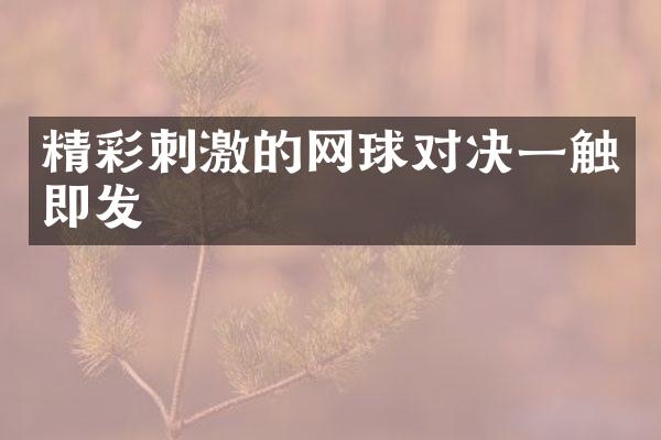 精彩刺激的网球对决一触即发