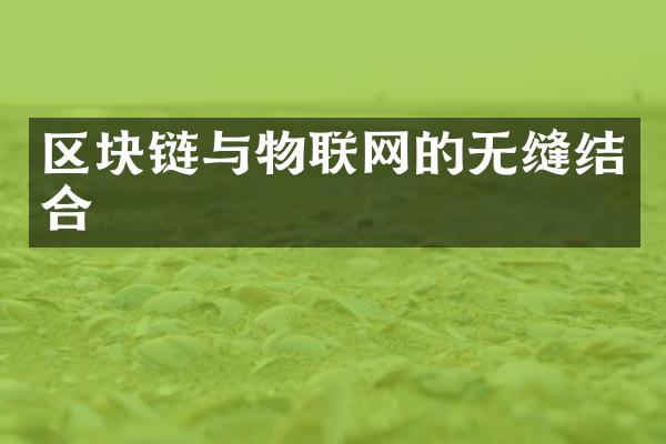 区块链与物联网的无缝结合