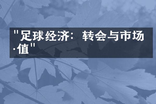 "足球经济：转会与市场价值"