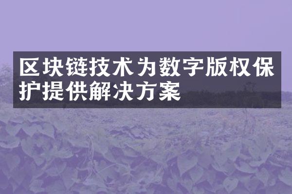 区块链技术为数字版权保护提供解决方案