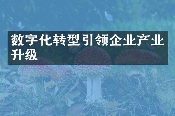 数字化转型引领企业产业升级