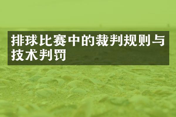 排球比赛中的裁判规则与技术判罚