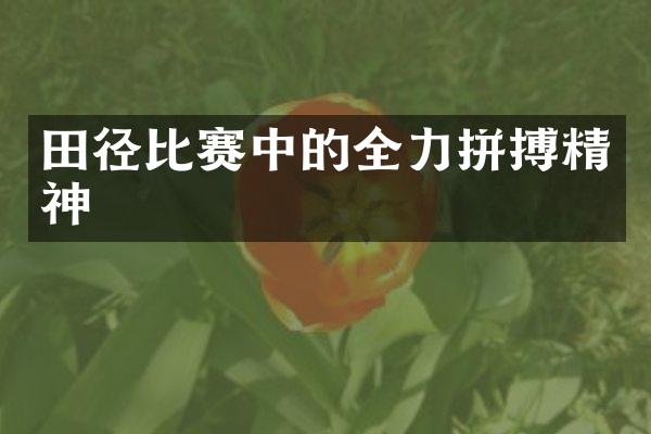 田径比赛中的全力拼搏精神