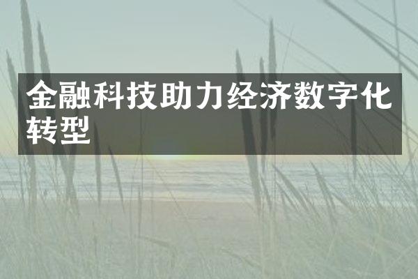 金融科技助力经济数字化转型