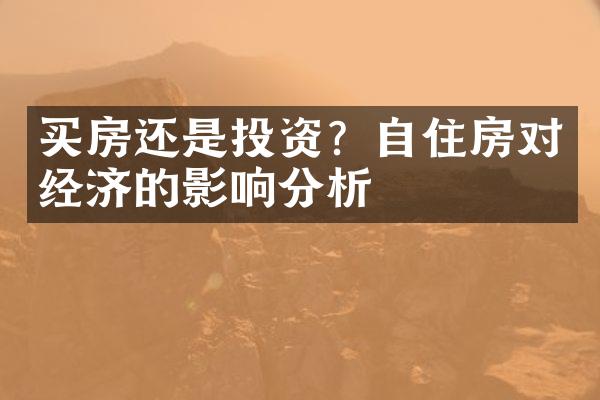 买房还是投资？自住房对经济的影响分析